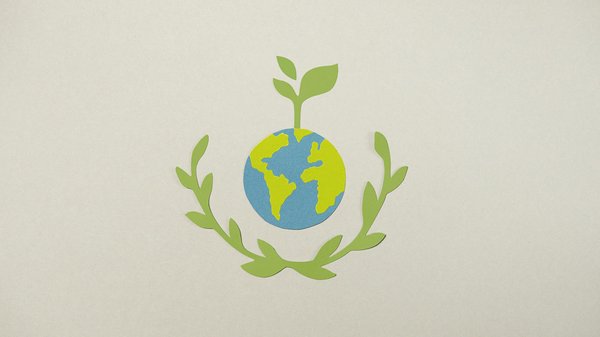 Cours de cuisine : développer son savoir-faire culinaire