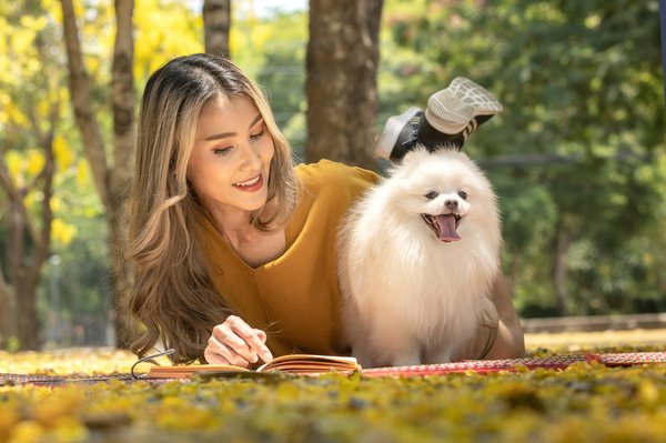 Assurance animal de compagnie : bien choisir pour protéger votre compagnon